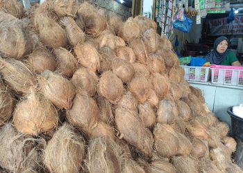 Harga Santan di Tanjungpinang Melonjak Hingga Rp.35 Ribu per Kilogram
