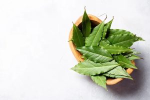 8 Manfaat Daun Salam untuk Kesehatan yang Jarang Diketahui