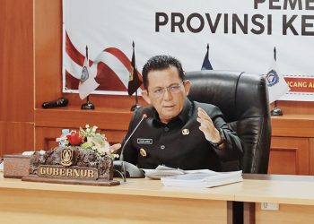 Ansar Dorong Percepatan Investasi di Kawasan PBPB Bintan-Karimun