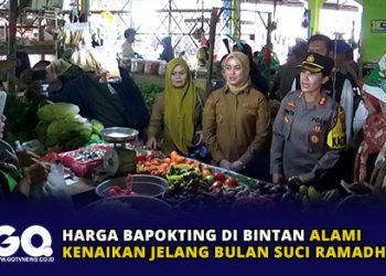 MK Batalkan Kemenangan Istri Mendes Yandri di Pilbup Serang 2024