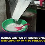 Harga Santan di Tanjungpinang Naik Capai Rp 40 Ribu Perkilogram