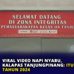 Viral Video Napi Nyabu, Kalapas Tanjungpinang: Itu Video Tahun 2024