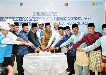 Ansar Apresiasi PLN, Listrik 24 Jam Kini Dinikmati Masyarakat Pulau Parit