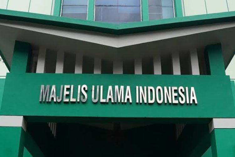 IUMS Keluarkan Fatwa Jihad Lawan Israel, MUI Berikan Dukungan Penuh