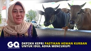 DKP2KH Kepri Pastikan Hewan Kurban untuk Idul Adha Mencukupi
