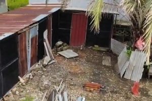 Bau Kandang Ayam di Bhayangkara Resahkan Warga, Lurah Siapkan Sanksi
