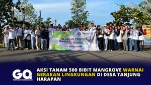 Aksi Tanam 500 Bibit Mangrove Warnai Gerakan Lingkungan di Desa Tanjung Harapan