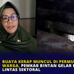 Buaya Kerap Muncul di Permukiman Warga, Pemkab Bintan Gelar Rapat Lintas Sektoral