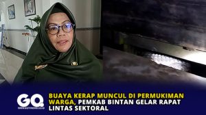 Buaya Kerap Muncul di Permukiman Warga, Pemkab Bintan Gelar Rapat Lintas Sektoral