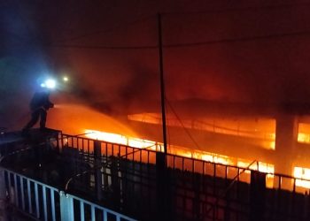 Polisi Selidiki Kebakaran Tiga Kandang Ayam Milik PT Japfa di Bintan