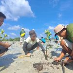 Mahasiswa UMRAH dan Banyan Tree Tanam 1.000 Mangrove di Pantai Pengudang