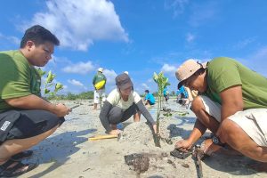Mahasiswa UMRAH dan Banyan Tree Tanam 1.000 Mangrove di Pantai Pengudang