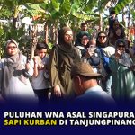 Puluhan WNA Asal Singapura Sumbang Sapi Kurban di Tanjungpinang