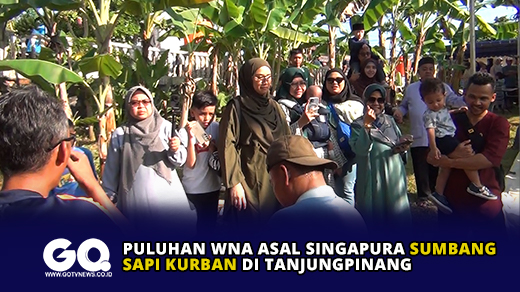 Puluhan WNA Asal Singapura Sumbang Sapi Kurban di Tanjungpinang.