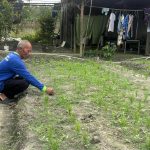 Dukung Swasembada Pangan, Petani Bintan Rela Jadikan Lahan Pribadi untuk Uji Coba Tanam Padi