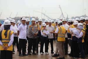 Wakil Kepala BP Batam Tinjau Persiapan Pengoperasian 4 STS Crane dari China