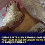 Dinas Pertanian Pangan dan Perikanan Pastikan Beras Oplosan Tidak Ada di Tanjungpinang