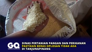 Dinas Pertanian Pangan dan Perikanan Pastikan Beras Oplosan Tidak Ada di Tanjungpinang