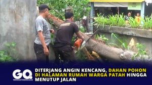 Diterjang Angin Kencang, Dahan Pohon di Halaman Rumah Warga Patah Hingga Menutup Jalan