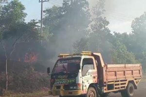 Kebakaran Lahan di Lintas Barat Bintan, Kabut Tebal Hampir Tutupi Jalan