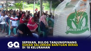 Sepekan, Bulog Tanjungpinang Sudah Salurkan Bantuan Beras di 18 Kelurahan