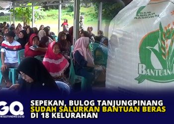 Sepekan, Bulog Tanjungpinang Sudah Salurkan Bantuan Beras di 18 Kelurahan