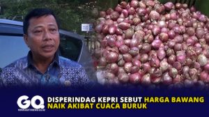 Disperindag Kepri Sebut Harga Bawang Naik Akibat Cuaca Buruk