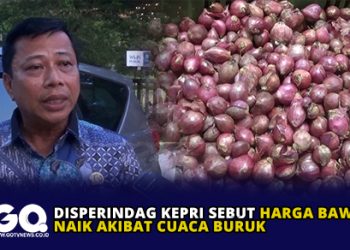 Disperindag Kepri Sebut Harga Bawang Naik Akibat Cuaca Buruk