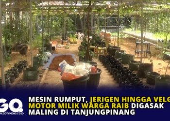 Mesin Rumput, Jerigen Hingga Velg Motor Milik Warga Raib Digasak Maling di Tanjungpinang