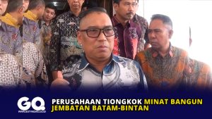 Perusahaan Tiongkok Minat Bangun Jembatan Batam-Bintan