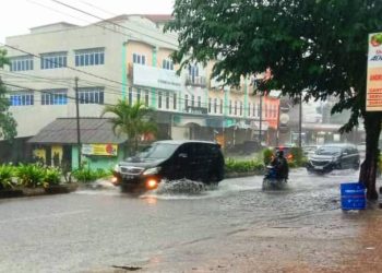 Dilanda Hujan Deras dan Angin Kencang, BPBD Tanjungpinang Imbau Warga Waspada Banjir dan Pohon Tumbang.