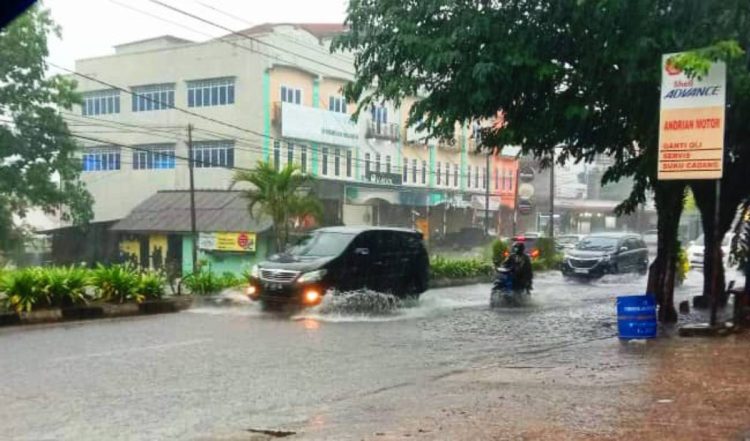 Dilanda Hujan Deras dan Angin Kencang, BPBD Tanjungpinang Imbau Warga Waspada Banjir dan Pohon Tumbang.