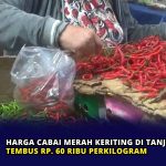 Harga Cabai Merah Keriting di Tanjungpinang Tembus Rp60 Ribu Perkilogram