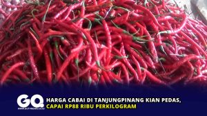 Harga Cabai di Tanjungpinang Kian Pedas, Capai Rp88 Ribu Perkilogram
