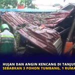 Hujan dan Angin Kencang di Tanjungpinang Sebabkan 3 Pohon Tumbang, 1 Rumah Tertimpa