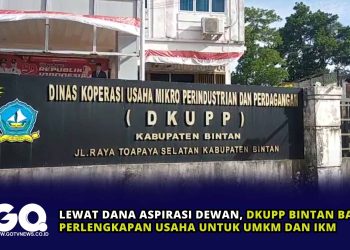 Lewat Dana Aspirasi Dewan, DKUPP Bintan Bagikan Perlengkapan Usaha untuk UMKM dan IKM