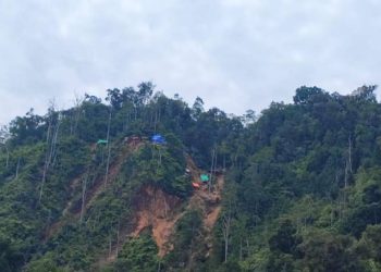 Pemerintah Tertibkan Tambang Ilegal, 321 Hektar Lahan Kembali ke Negera.