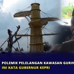Polemik Pelelangan Kawasan Gurindam 12, Ini Kata Gubernur Kepri