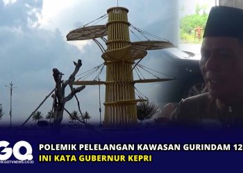 Polemik Pelelangan Kawasan Gurindam 12, Ini Kata Gubernur Kepri