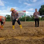 Polisi dan Kelompok Tani di Tanjungpinang Tanah Jagung Dukung Swasembada Pangan