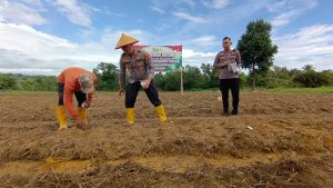 Polisi dan Kelompok Tani di Tanjungpinang Tanah Jagung Dukung Swasembada Pangan