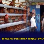 Beragam Peristiwa Terjadi dalam Sepekan