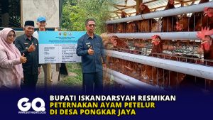 Bupati Iskandarsyah Resmikan Peternakan Ayam Petelur di Desa Pongkar Jaya