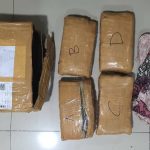 Ditresnarkoba Polda Metro Jaya Gagalkan Peredaran 4,1 Kg Ganja di Bekasi Utara
