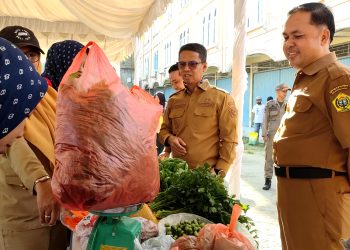 Dinas Koperasi, Usaha Mikro, Perdagangan dan ESDM Karimun Dorong Stabilitas dan Kemandirian Ketahanan Pangan