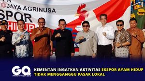 Kementan Ingatkan Aktivitas Ekspor Ayam Hidup Tidak Mengganggu Pasar Lokal