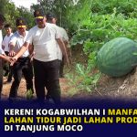 Keren! Kogabwilhan I Manfaatkan Lahan Tidur Jadi Lahan Produktif di Tanjung Moco