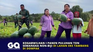 Kogabwilhan I Panen Puluhan Ton Semangka Non-Biji di Lahan Eks Tambang di Dompak