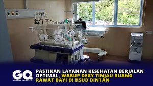 Pastikan Layanan Kesehatan Berjalan Optimal, Wabup Deby Tinjau Ruang Rawat Bayi di RSUD Bintan