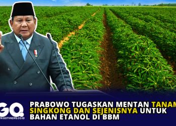Prabowo Tugaskan Mentan Tanam Singkong dan Sejenisnya Untuk Bahan Etanol di BBM